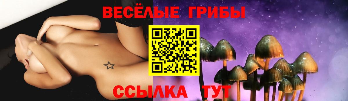 Галлюциногенные грибы ЛСД Усолье-Сибирское